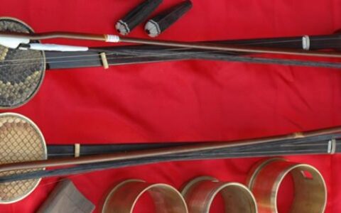 拉弦乐器有哪些