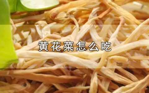 黄花菜怎么吃