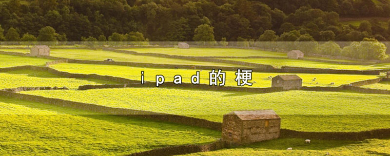 ipad的梗