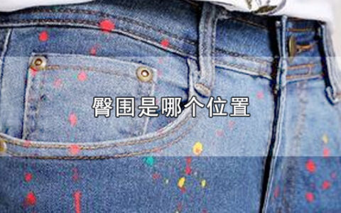 臀围是哪个位置