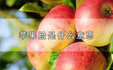 苹果脸是什么意思