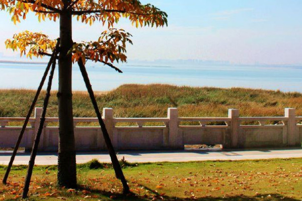 十一月为什么叫子月