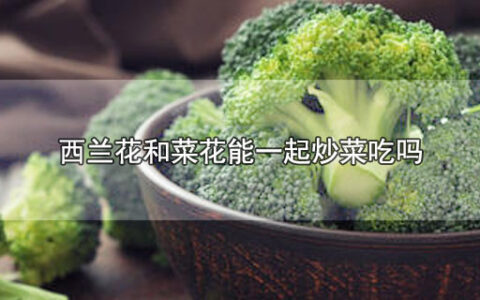 西兰花和菜花能一起炒菜吃吗