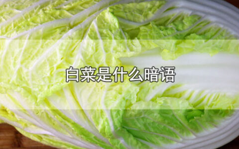 白菜是什么暗语