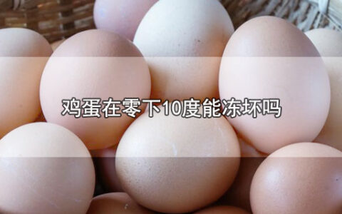 鸡蛋在零下10度能冻坏吗