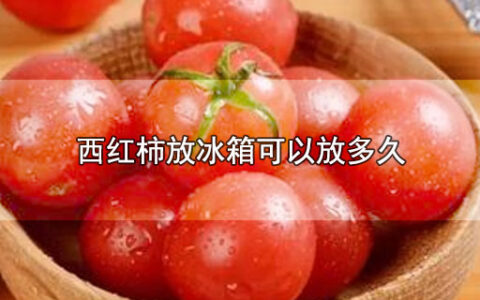 西红柿放冰箱可以放多久