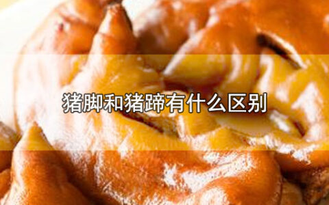 猪脚和猪蹄有什么区别
