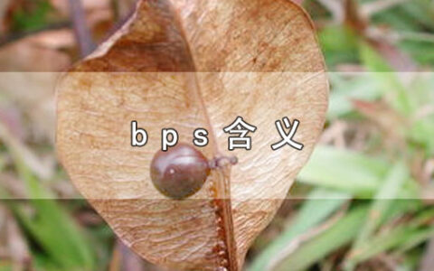 bps含义