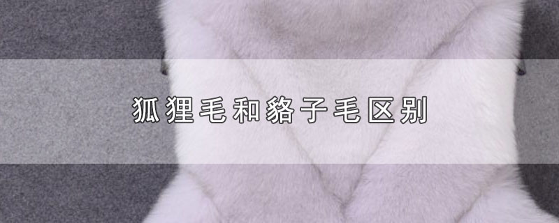 狐狸毛和貉子毛区别