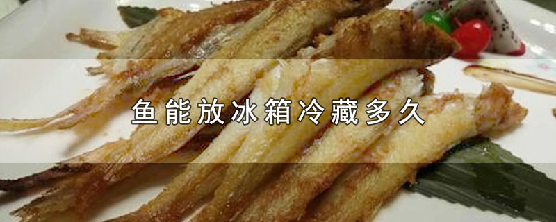 鱼能放冰箱冷藏多久