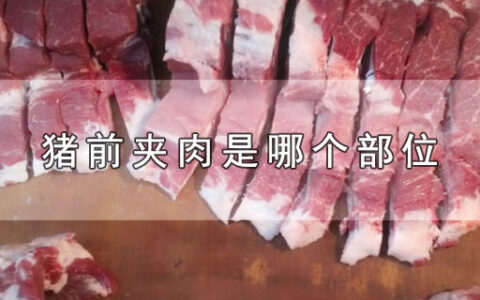 猪前夹肉是哪个部位