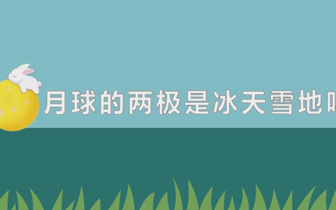 月球的两极是冰天雪地吗