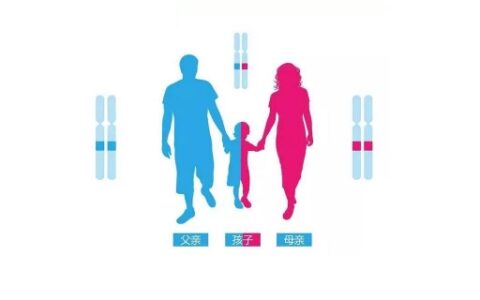 鉴别孩子亲生的小窍门