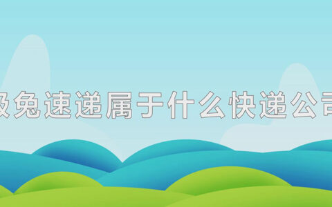 极兔速递属于什么快递公司