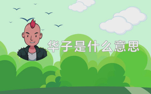华子是什么意思