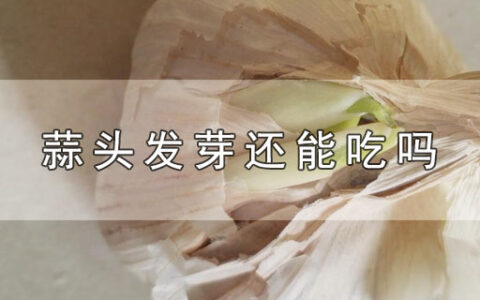 蒜头发芽还能吃吗