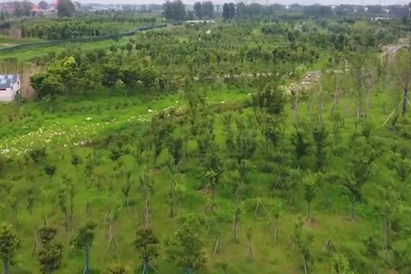 涡阳县属于哪个市