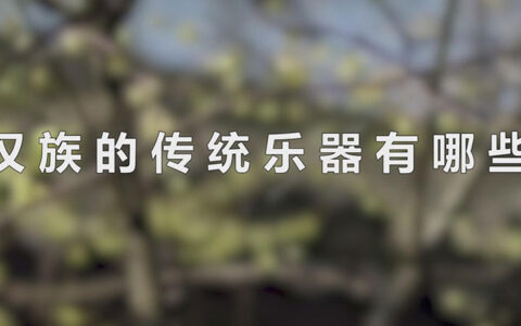 汉族的传统乐器有哪些