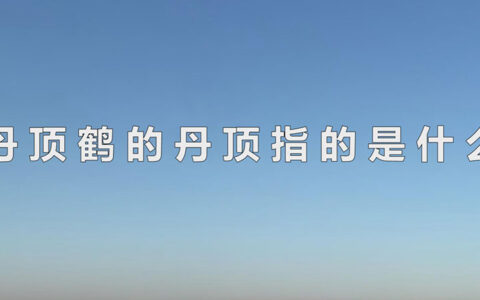 丹顶鹤的丹顶指的是什么