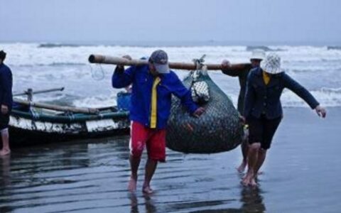 出海打鱼的真实工薪是怎样的？