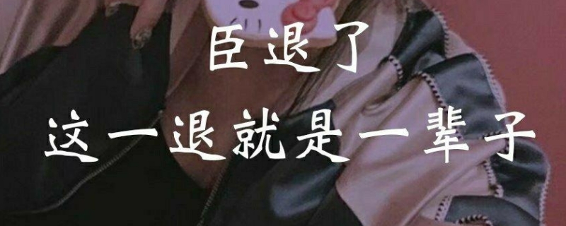 臣退了这一退就是一辈子出处