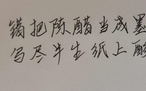 错把陈醋当成墨写尽半生纸上酸什么意思