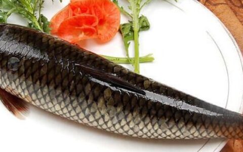 松花鱼又叫什么鱼