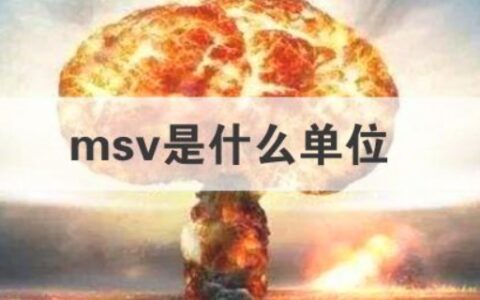 msv是什么单位
