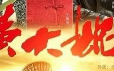 黄大妮的5个孩子的结局