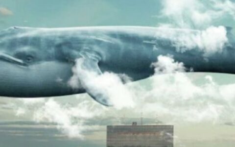 山鲸是真的存在吗