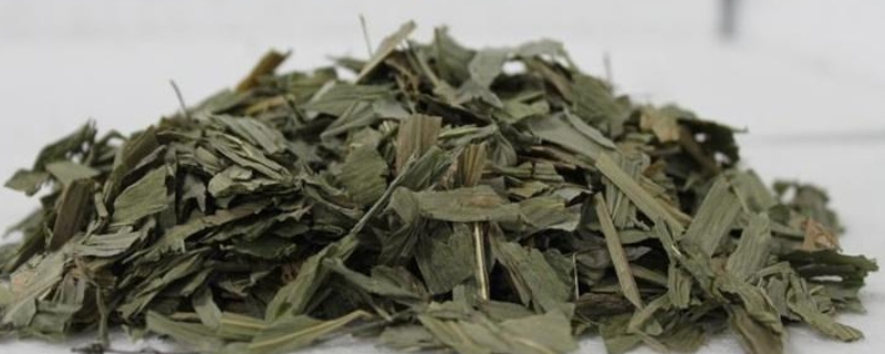 清热去火药哪种效果最好