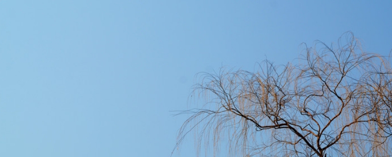 氤氲缱绻什么意思