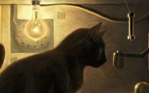 薛定谔的春节是什么意思