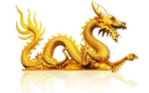 三宫六院指的是什么生肖