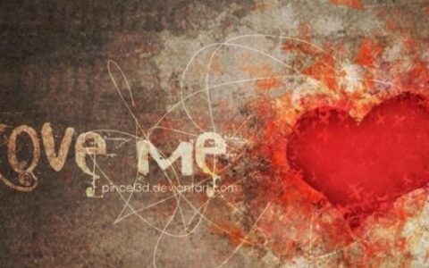 lay网络什么意思