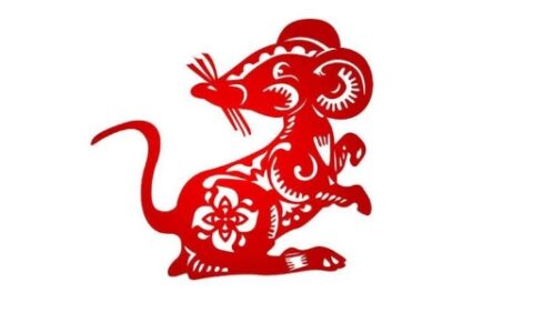 四面八方指什么生肖