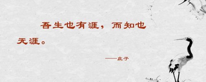  生有涯而学无涯什么意思