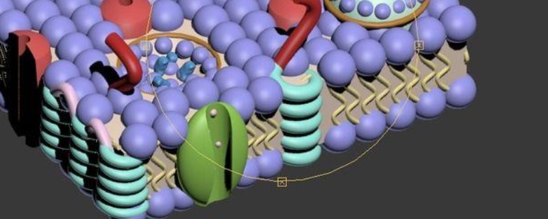 单位膜是指什么样的结构