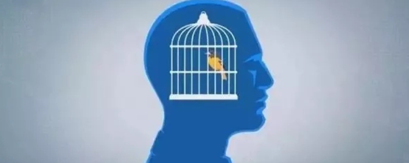 孕妇效应又叫什么效应