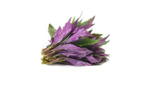 血碧菜的功效与副作用