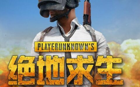 吃鸡游戏叫什么名字