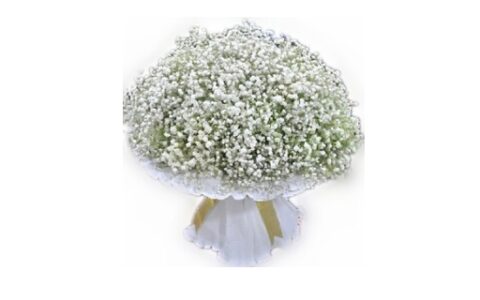 美好祝愿的简短句子