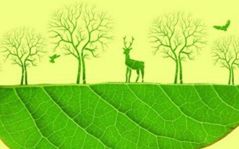 保护地球的宣传语