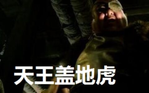 天王盖地虎的下一句