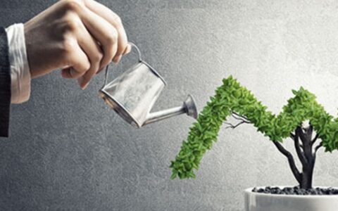 bd经理和销售的区别