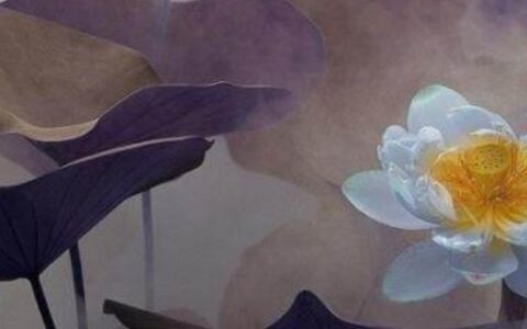 一句禅语一种人生