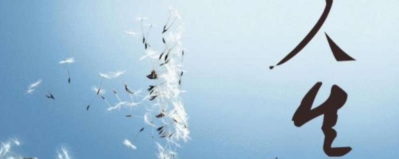  人生是什么仿写比喻句