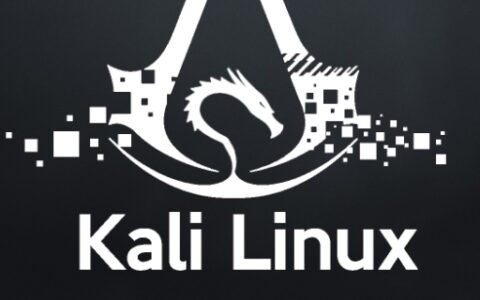 kali linux 新手教程