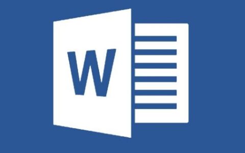 初学者word的基础知识