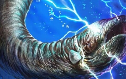 电鳗为什么会放电能电死人吗